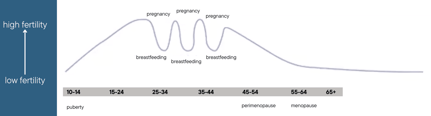 Understanding the Reproductive Continuum: From Adolescence to Menopause ...