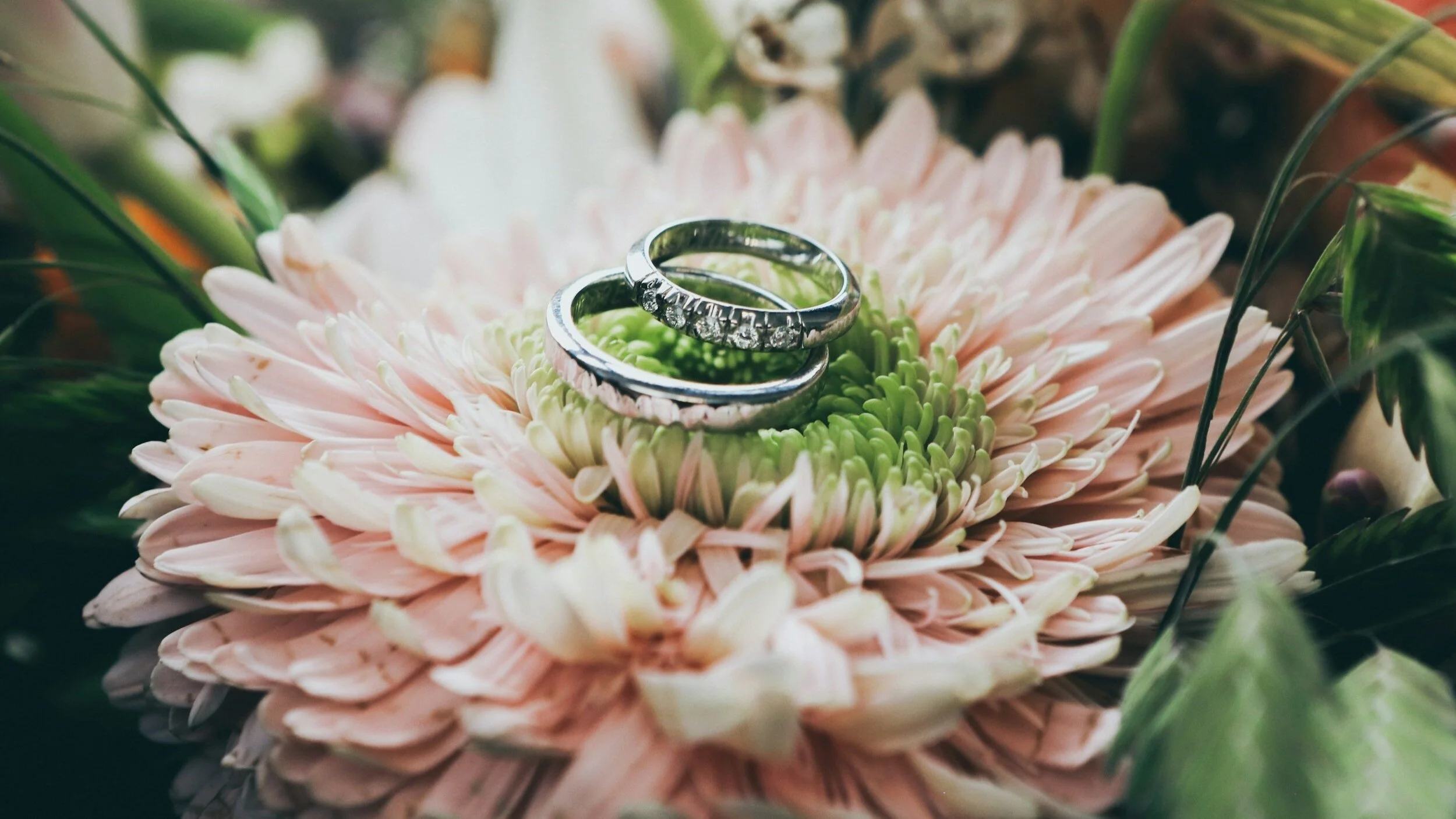 Wedding Rings for Wedding Ceremony