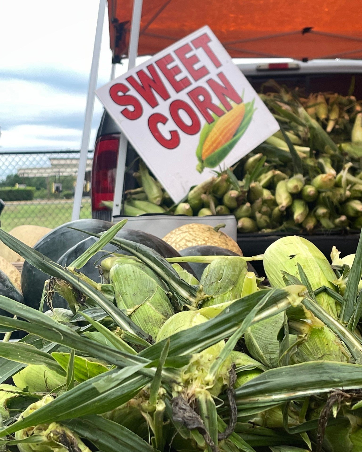 🌽 Corn you believe it's almost May? Our summer market starts in just a few days! Don't miss out on all the delicious in-season produce and local goods. #SupportLocal #SummerMarket