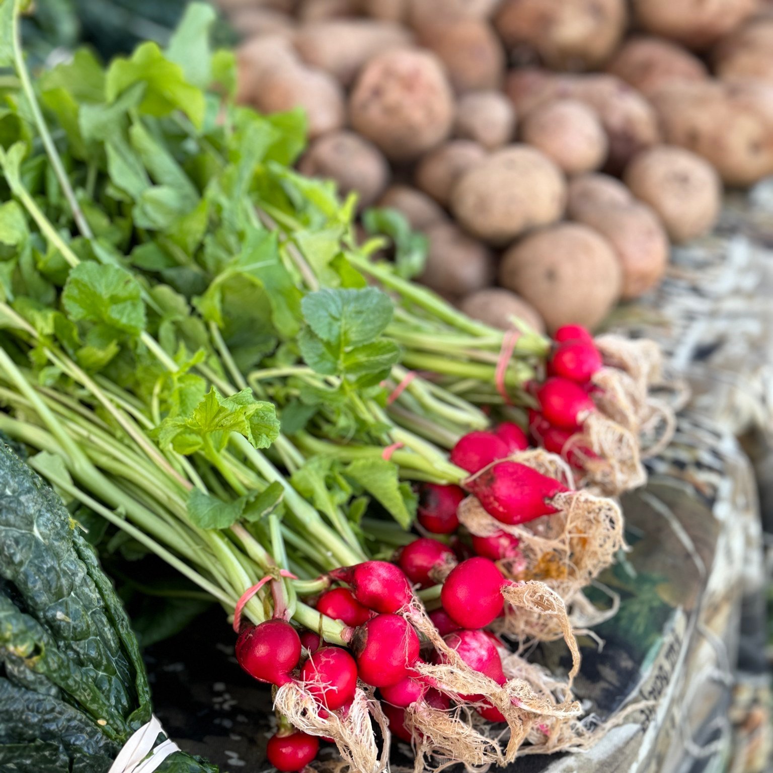 May in Tennessee usually means 🍓 STRAWBERRIES 🍓! But what else is available? Check out the list below!

🌱Asparagus
🥦Broccoli
🌿Cabbage
🌱Cauliflower
🥕Carrots
🥬Collard Greens
🌱Herbs
🥬Kale
🥬Lettuce
🍄&zwj;Mushrooms
🌿Mustard Greens
🧅Onions
🌱