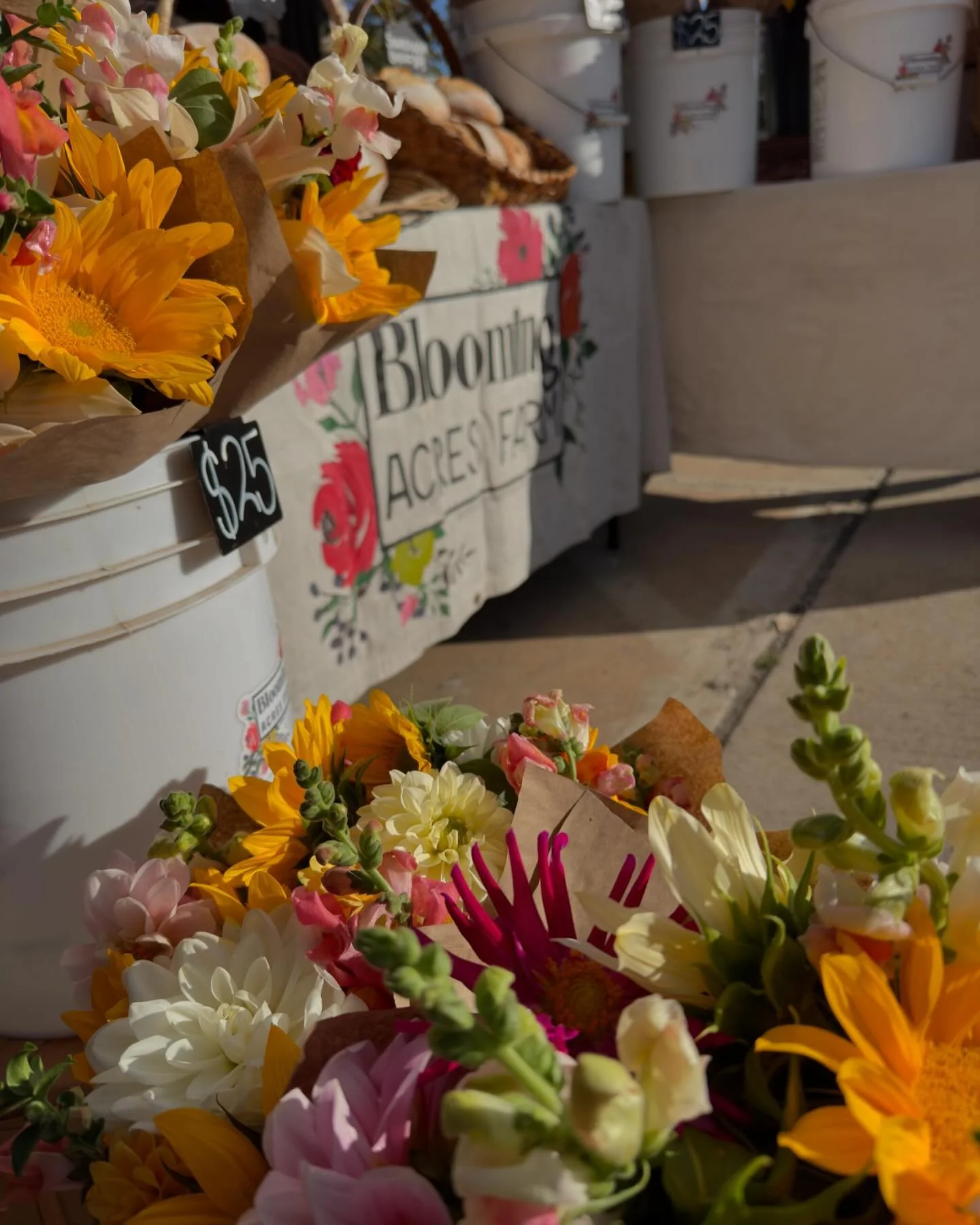 November markets are so dreamy! We&rsquo;re opening an hour later, at 9am, every Saturday throughout the winter time! Come shop local! #nolensvilletn