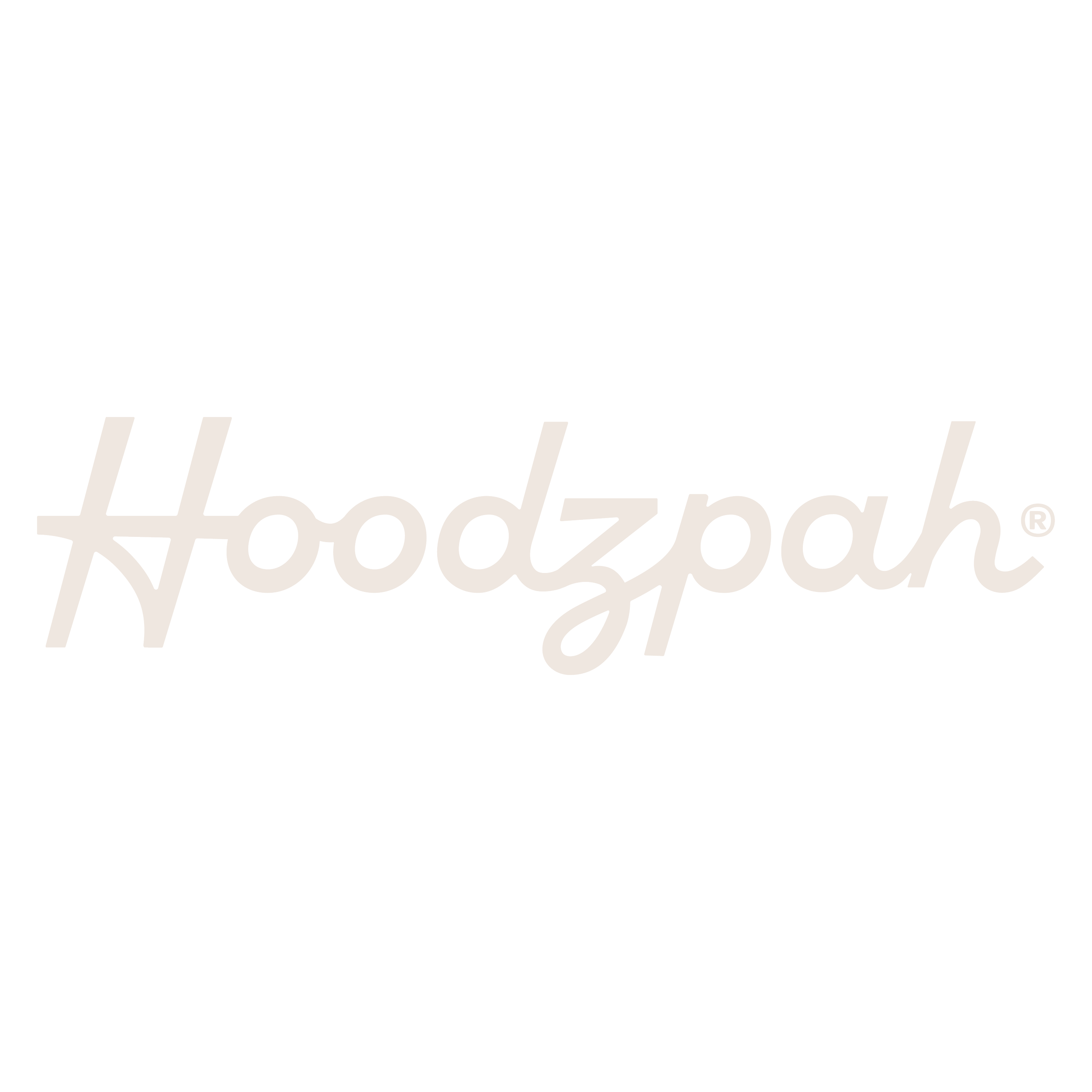 _VA Studio - Brand Logos_2026-_Hoodzpah copy.png