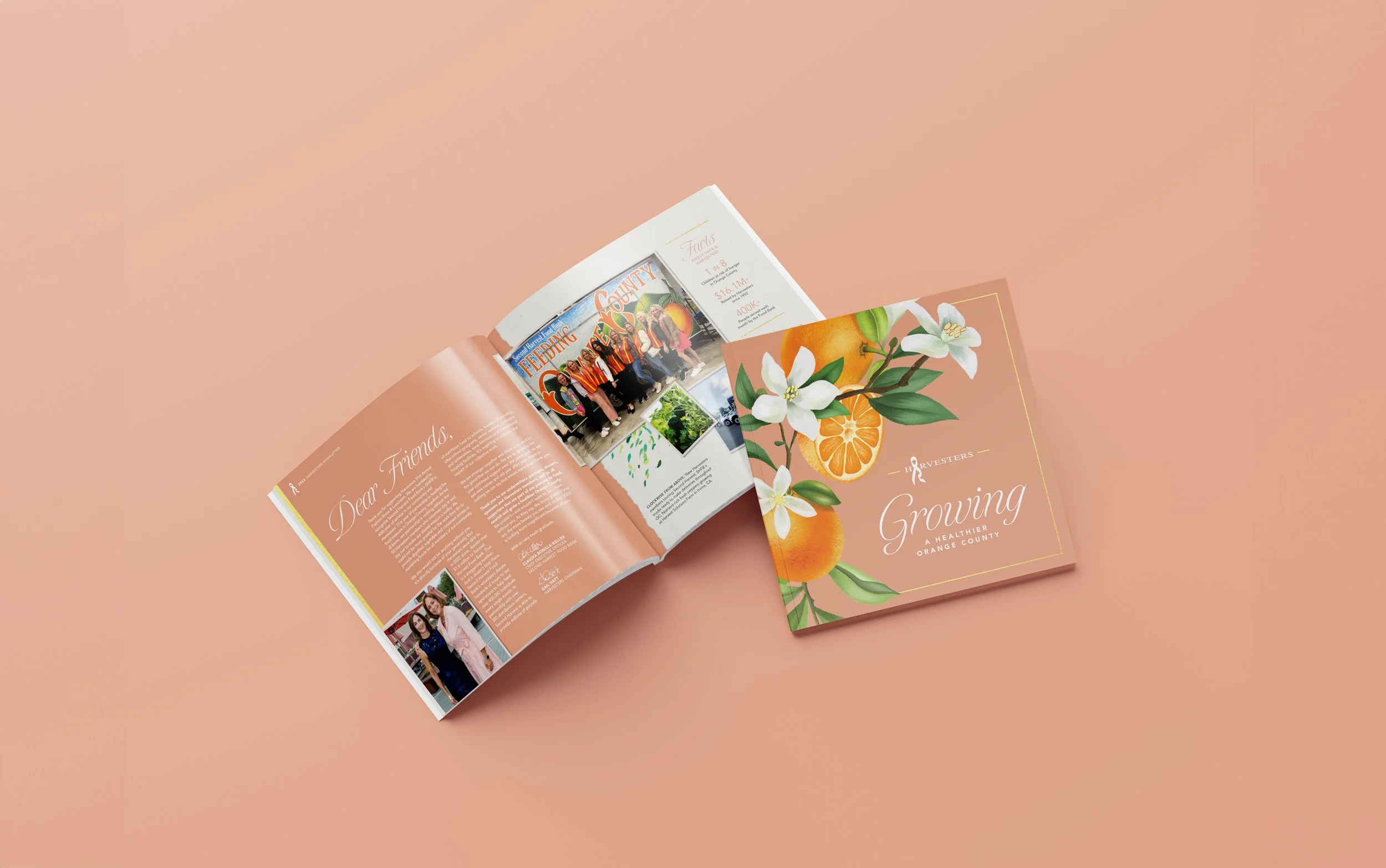 Design of a newsletter booklet showing a blush background with illustrated oranges and orange blossoms with a gold foil outline and script headline