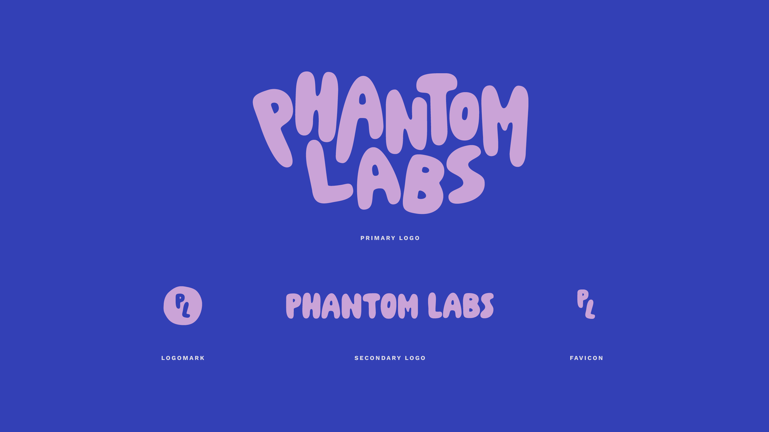 Phantom Labs Logo and Branding Design — Victoria Alvarez Studio