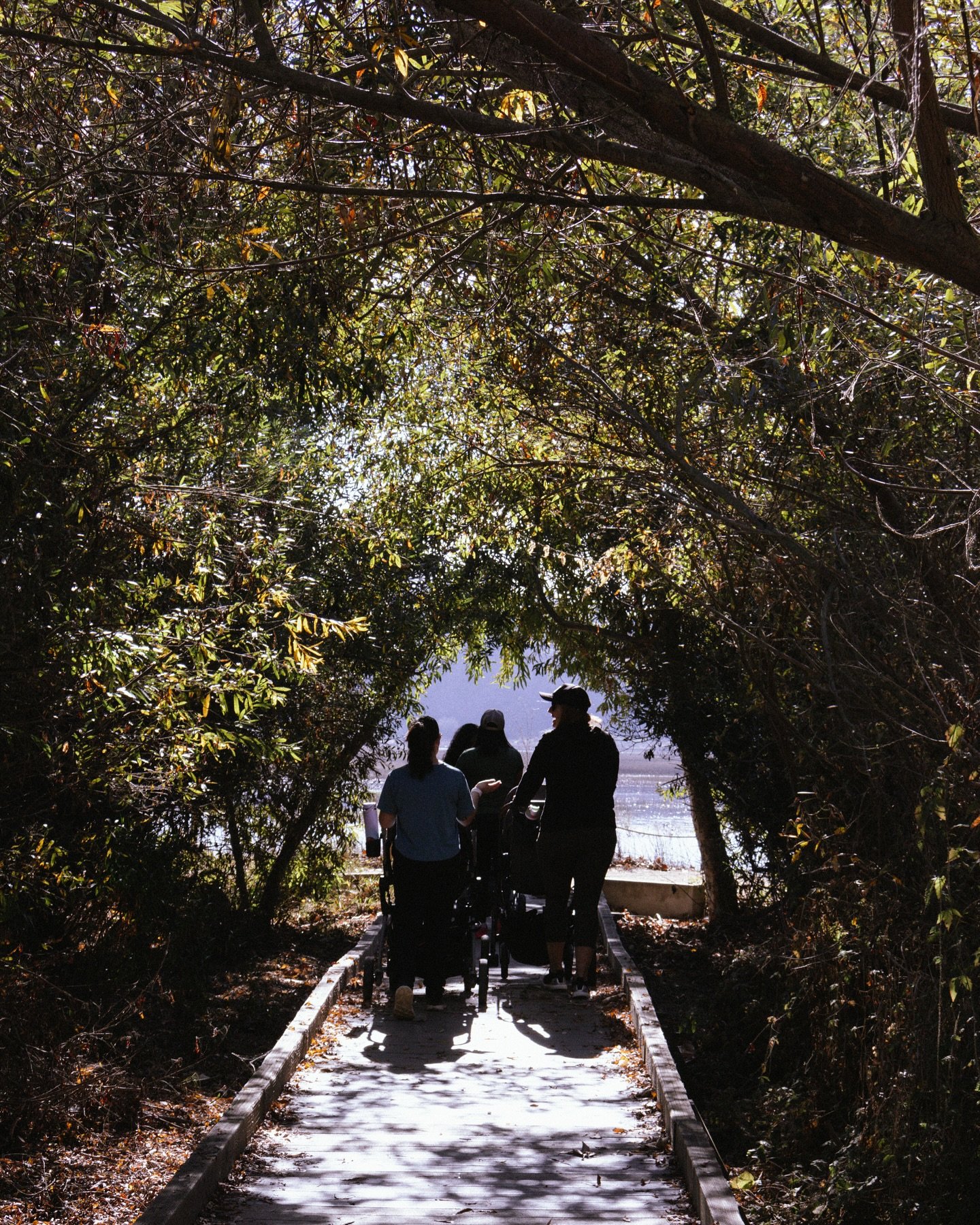 Motherhood is its own type of adventure. It&rsquo;s a joy to be able to guide these Mama + Littles hikes these past two months. We&rsquo;ll be back in the new year with the launch of the Mellow Mile Club for a family hike and we can&rsquo;t wait for 