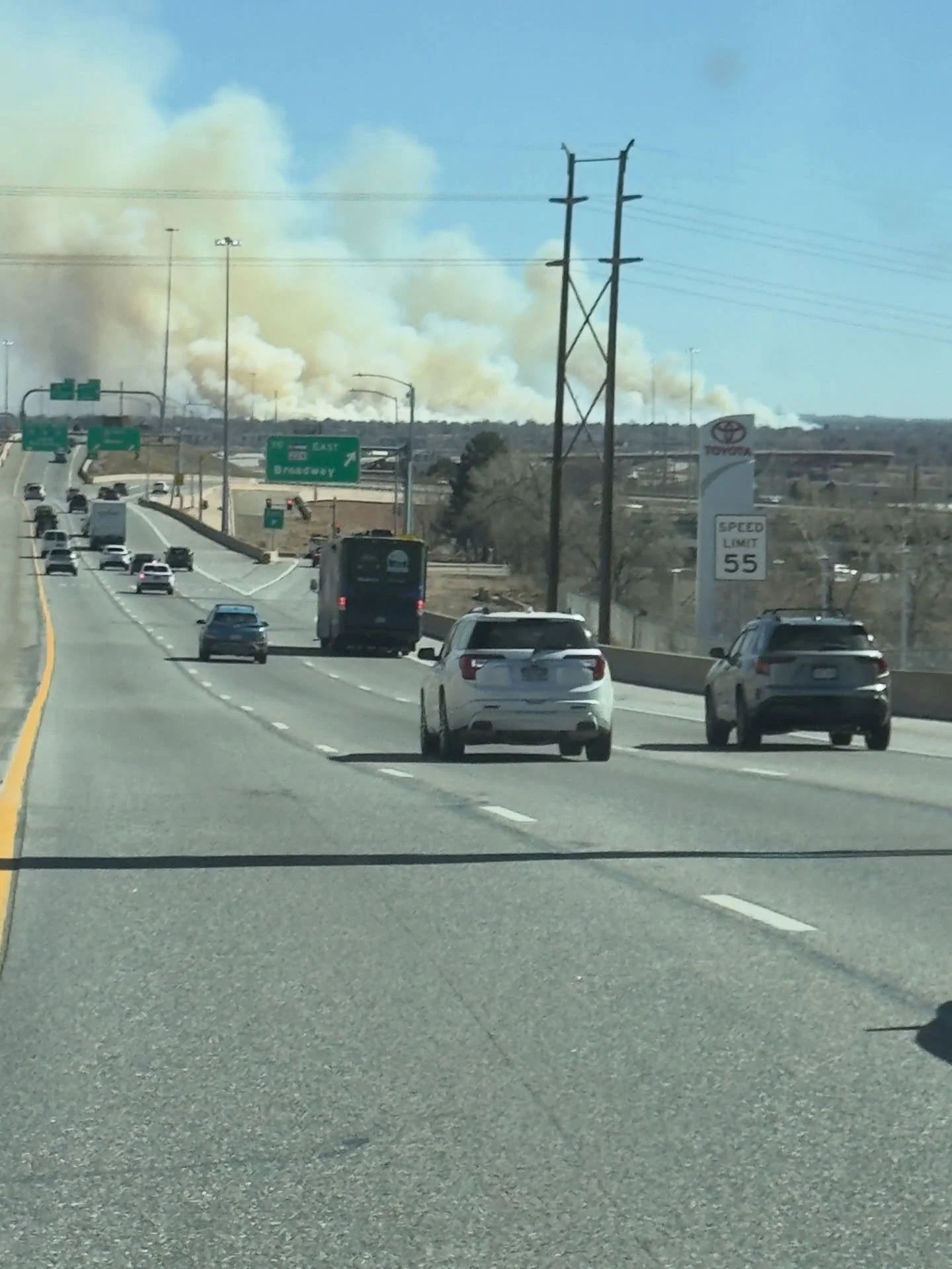 Saw this lil guy on my way to a meeting. Brings back memories. Not a good sign for this summer though. Boo hiss boo