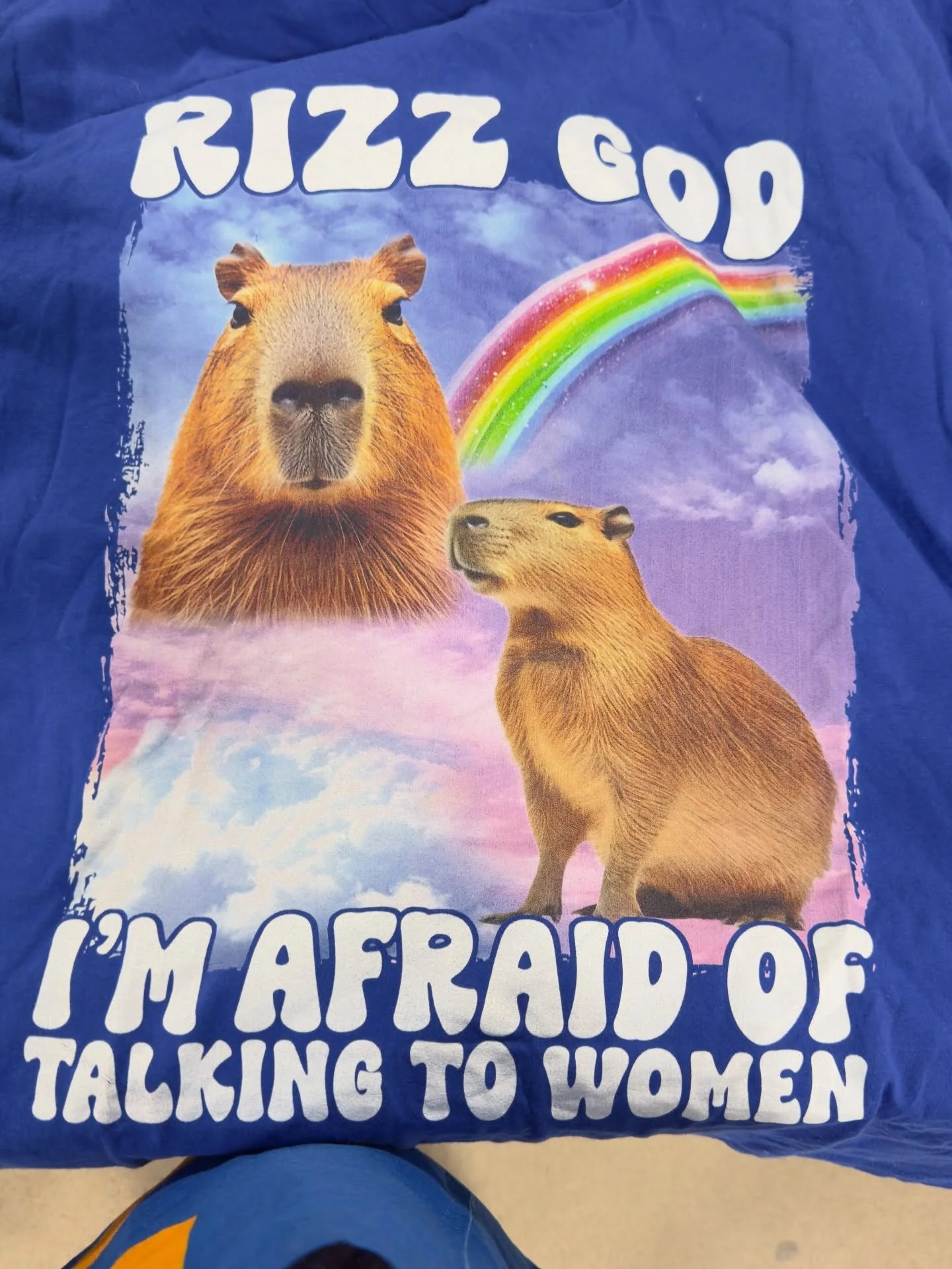 I am confused on so many levels here. Honestly have no idea what I am looking at