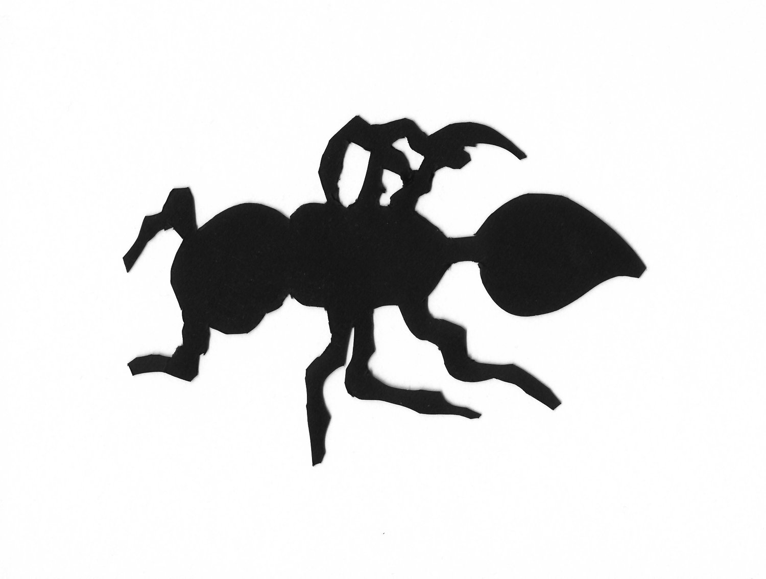 Fire Ant, Cut paper, 6" x 4", 2020