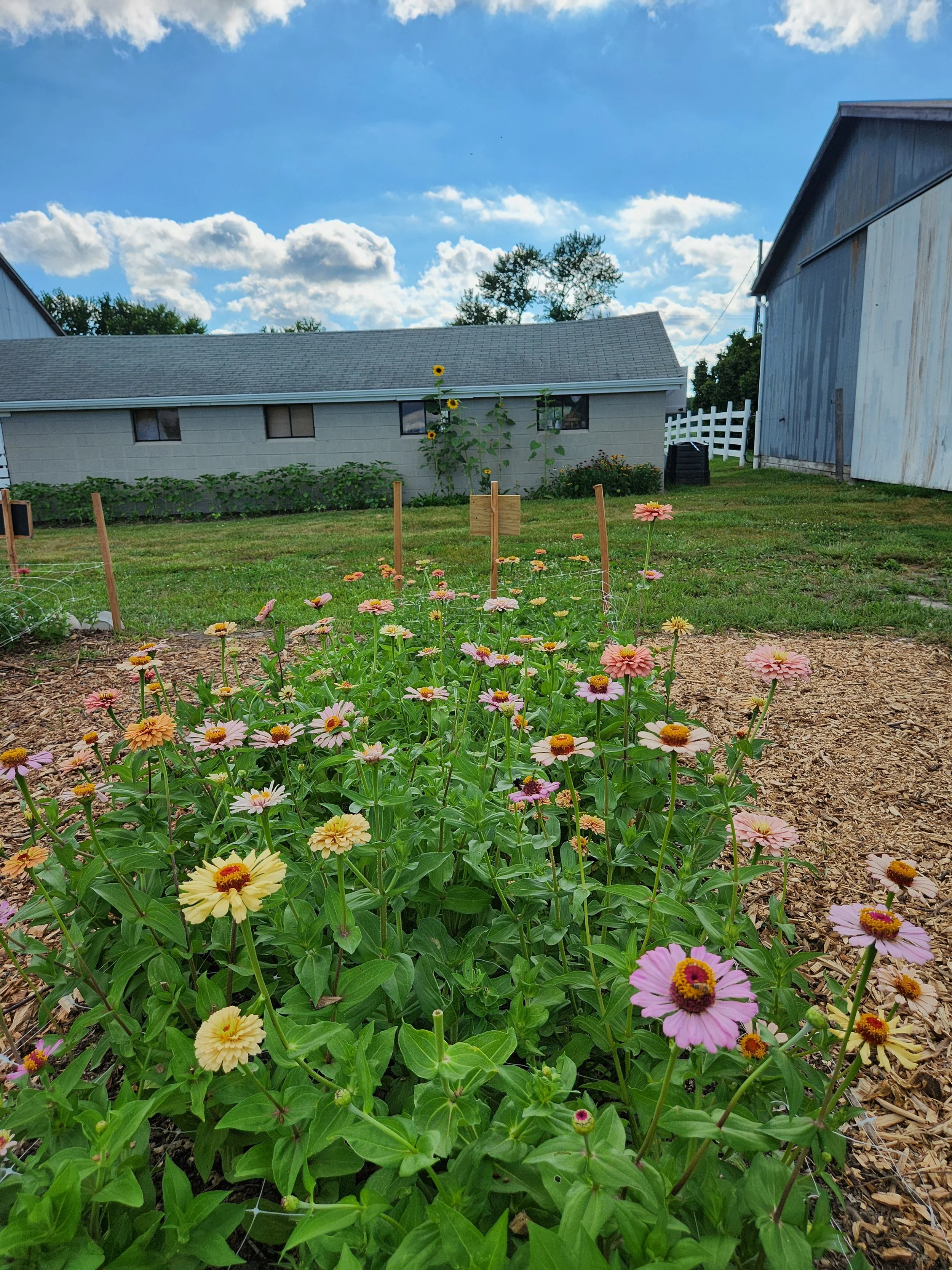 Flower Camp - Aug 3-6