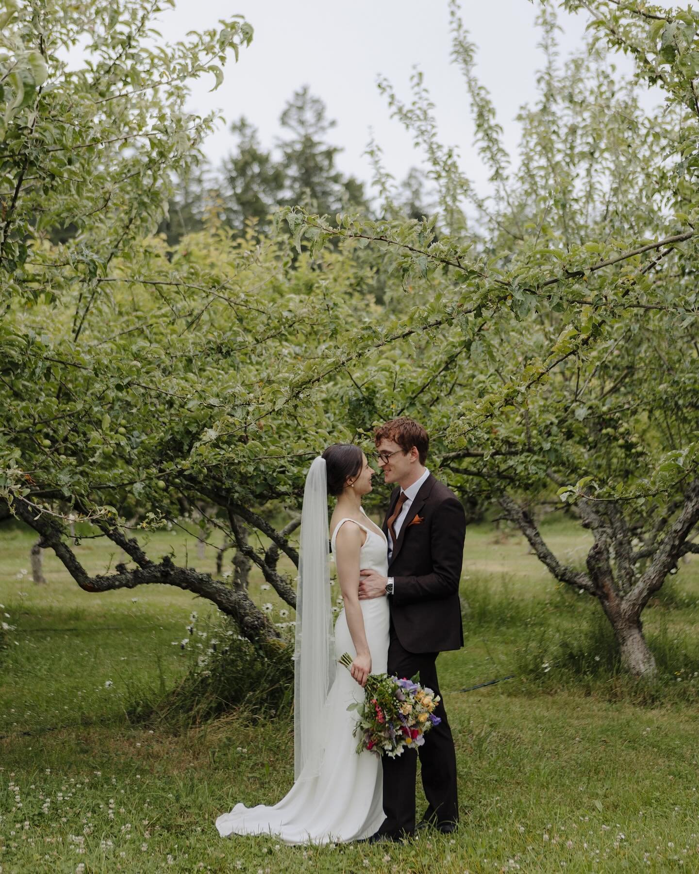 Thinking of warm greens, full bouquets, and hanging in the orchard with these two. Two summers ago @kildarafarms