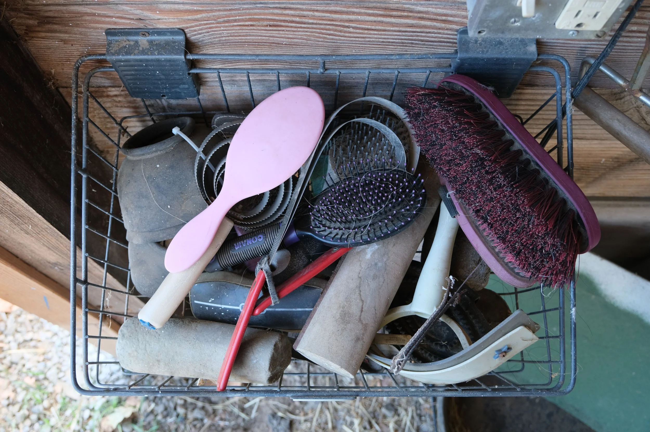 DSCF3348.jpg