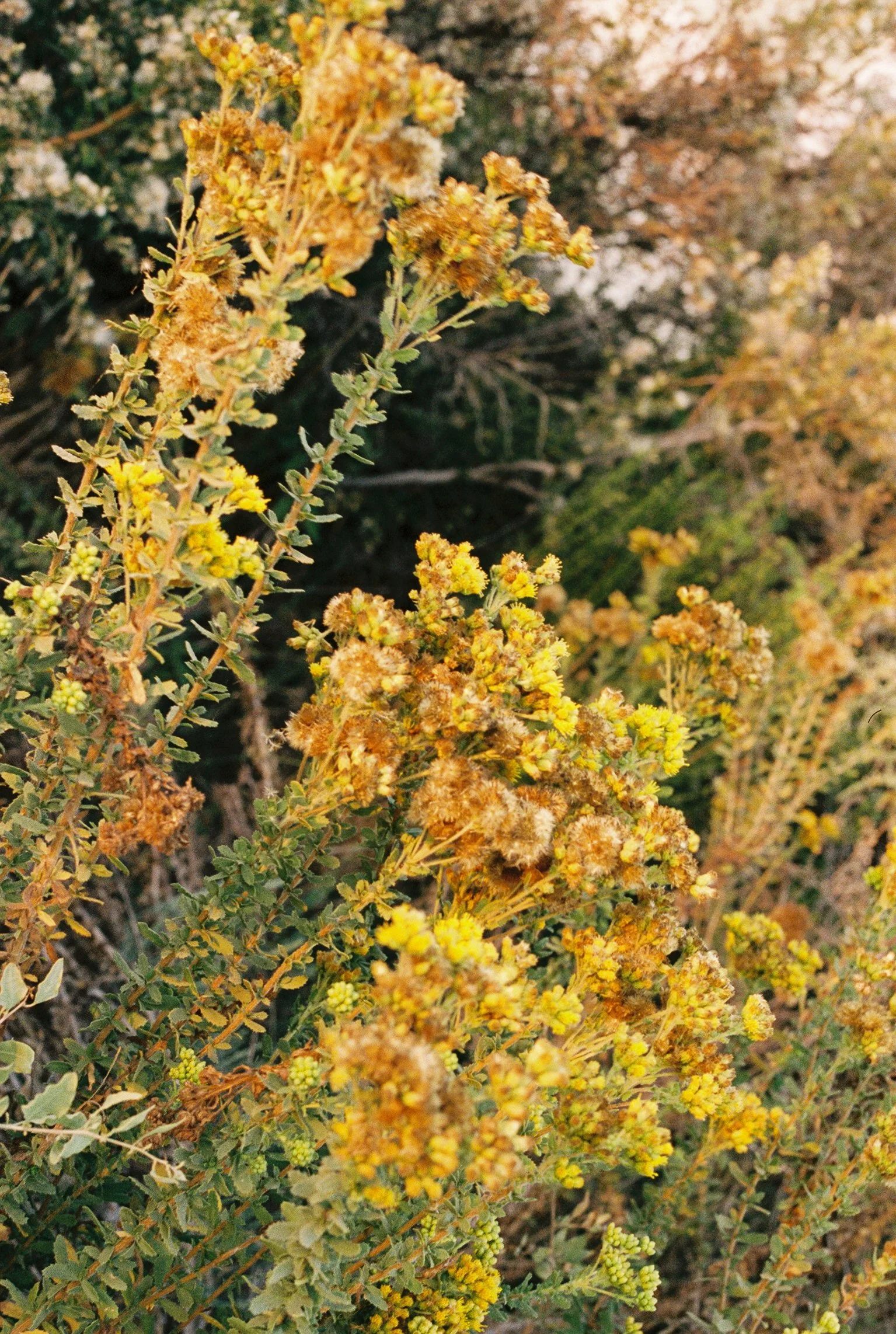Roll1_140928AH026398-R1-E027-2.jpg