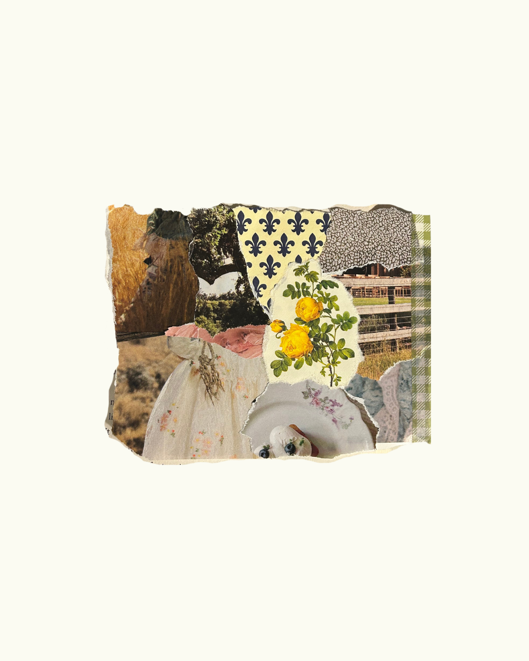 Alexis Hemming PHOTOGRAPHY-2.png