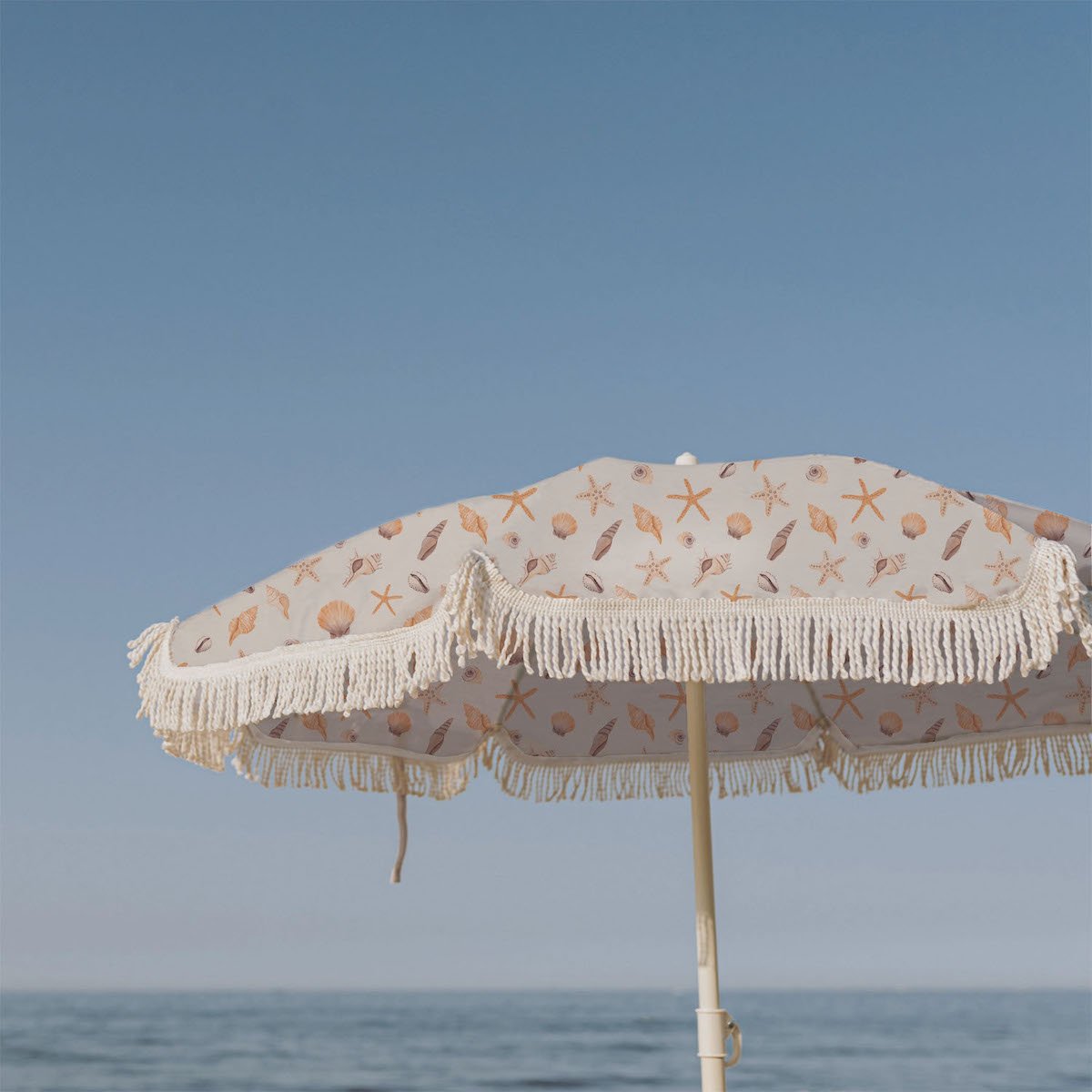 Hand-drawn seashell pattern in soft pastel tones, designed for stylish scarves, tote bags, and fashion accessories.