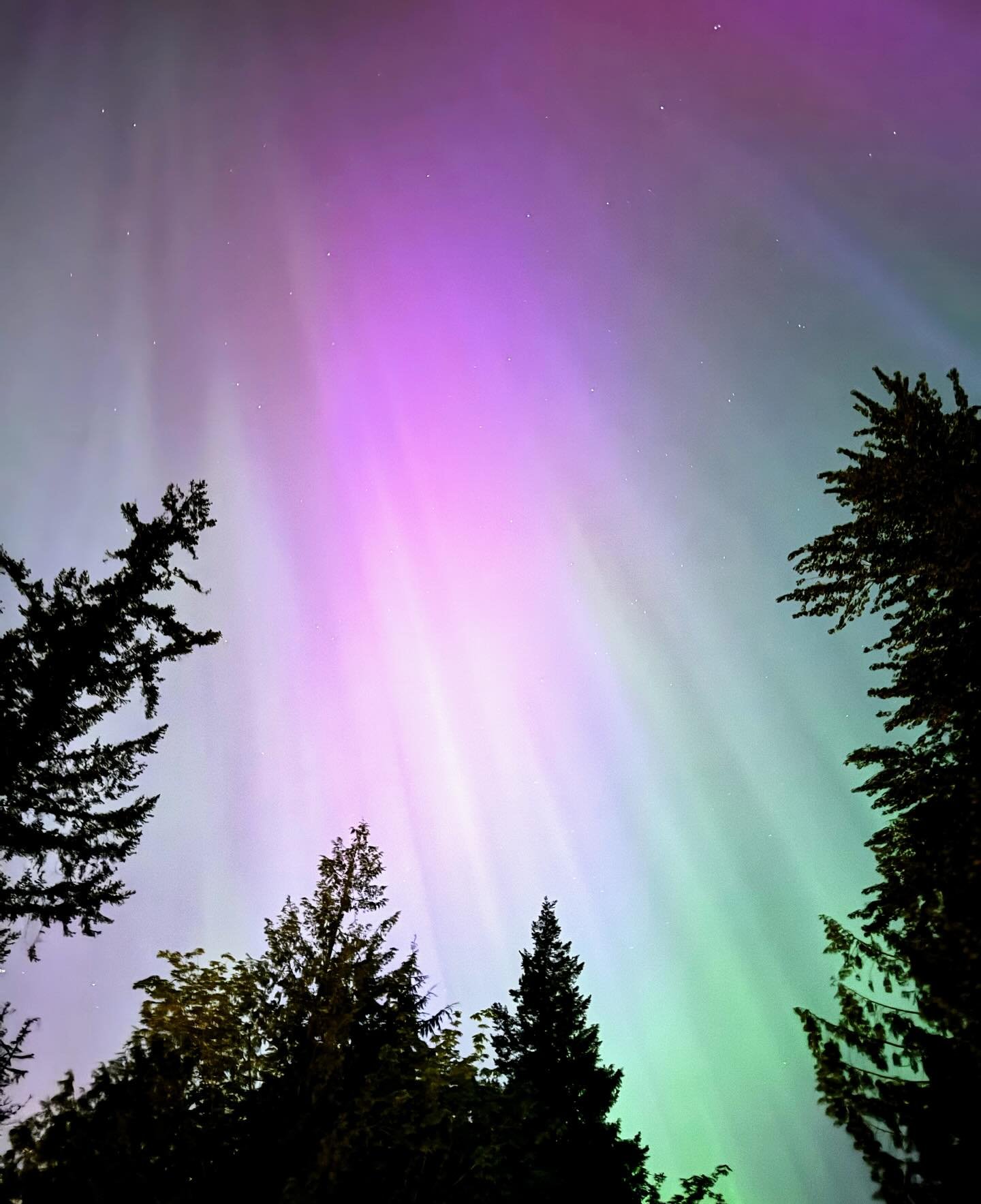 The Northern Lights were a beautiful surprise that appeared out of nowhere, swirling and dancing across the sky. A juxtaposition of delicate, flamboyant, and peaceful. And the best part- we just went out our front door to see!! 🎆