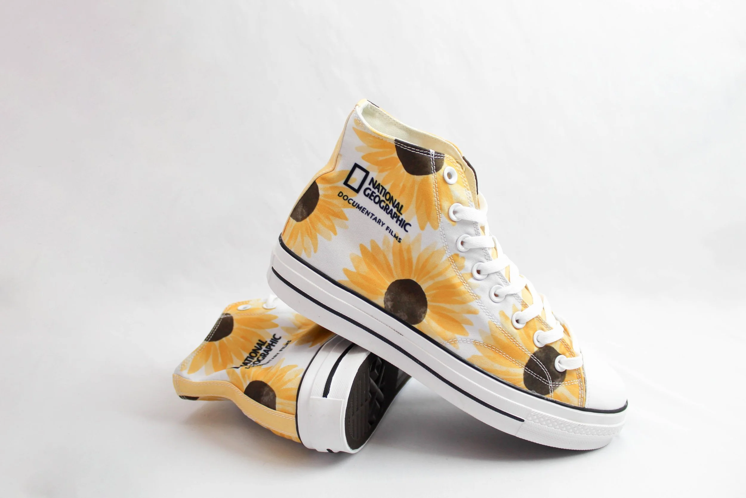 Flyer_National Geographic.jpg