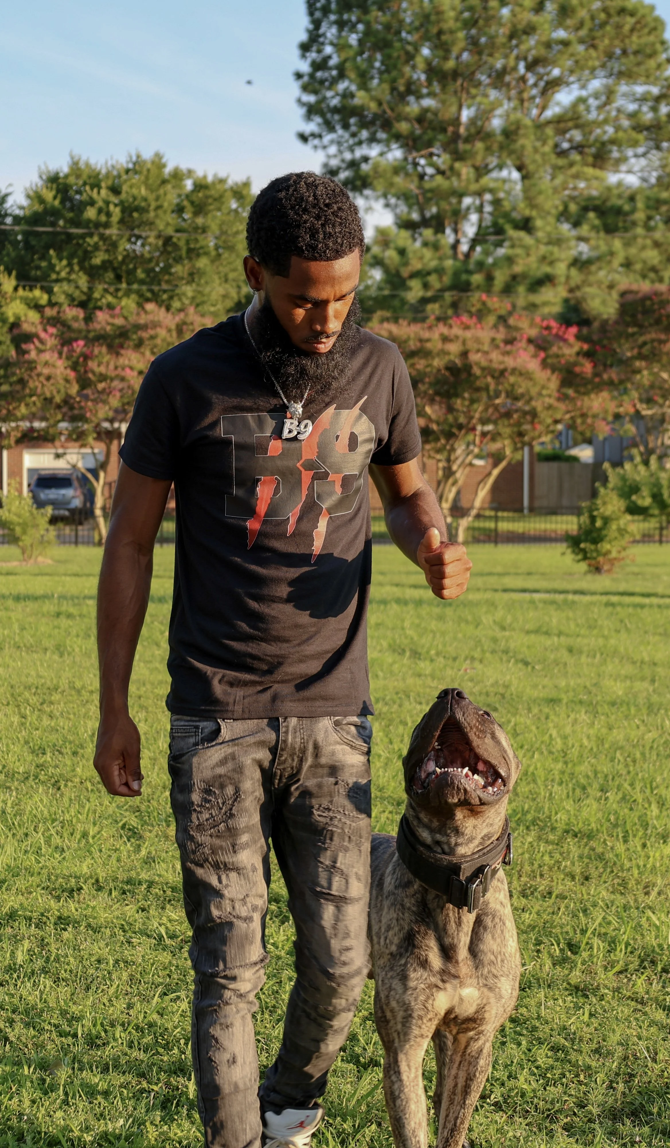 2 Week Board and Train