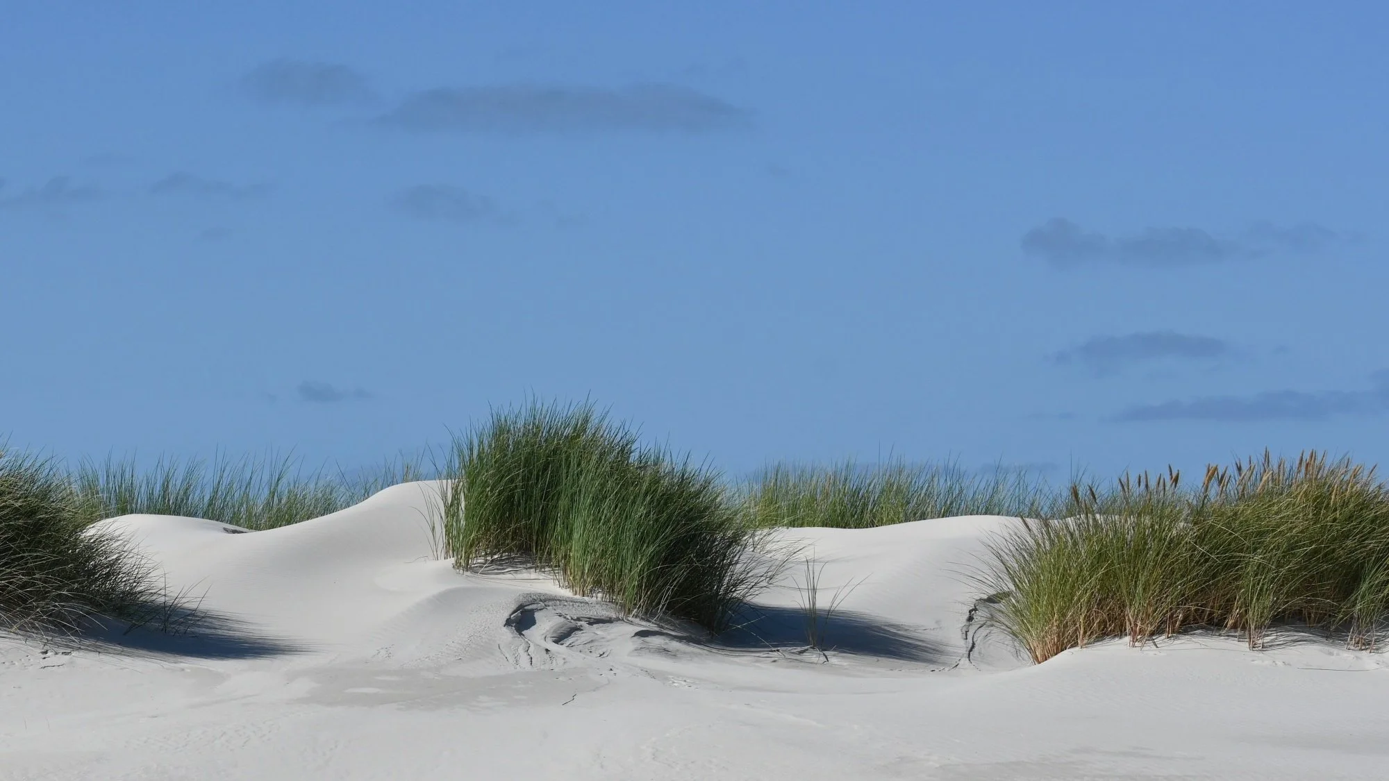 Amrum_8004a.JPG