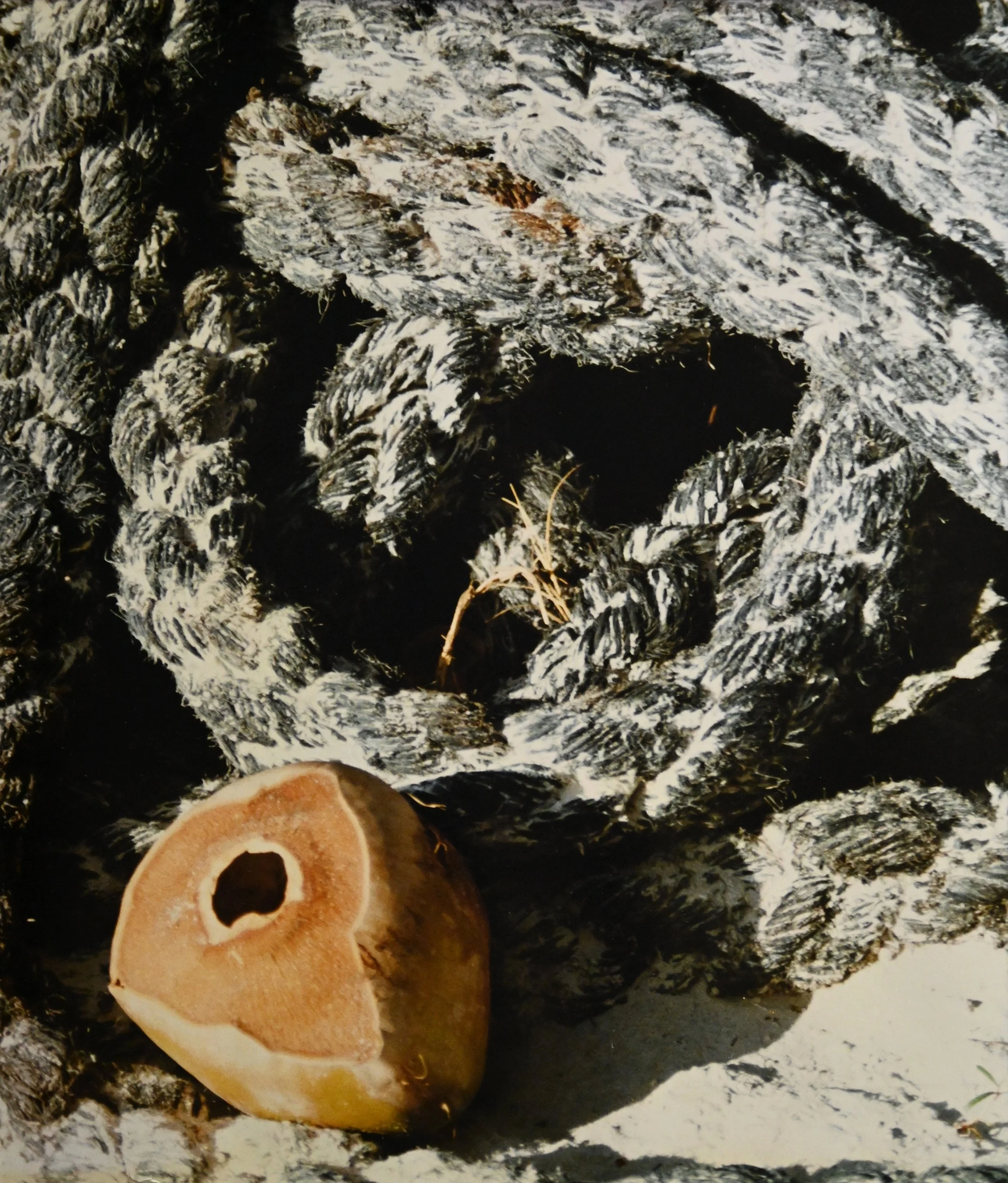 38 x 44 cm - (Nr.16)