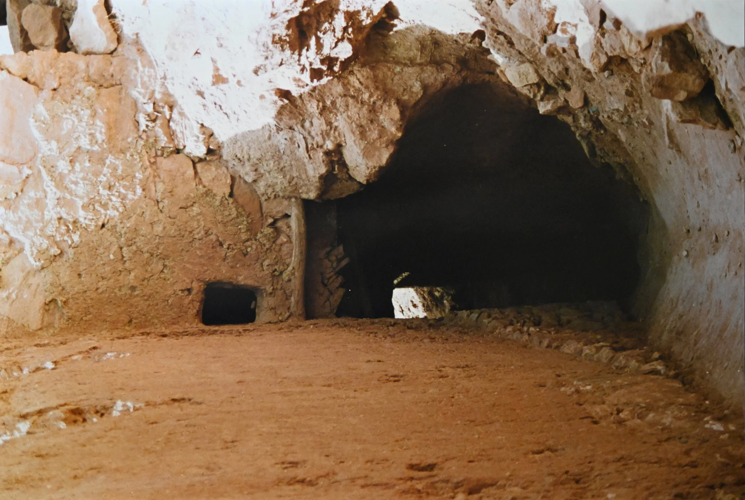61 x 41 cm - (Nr.3)