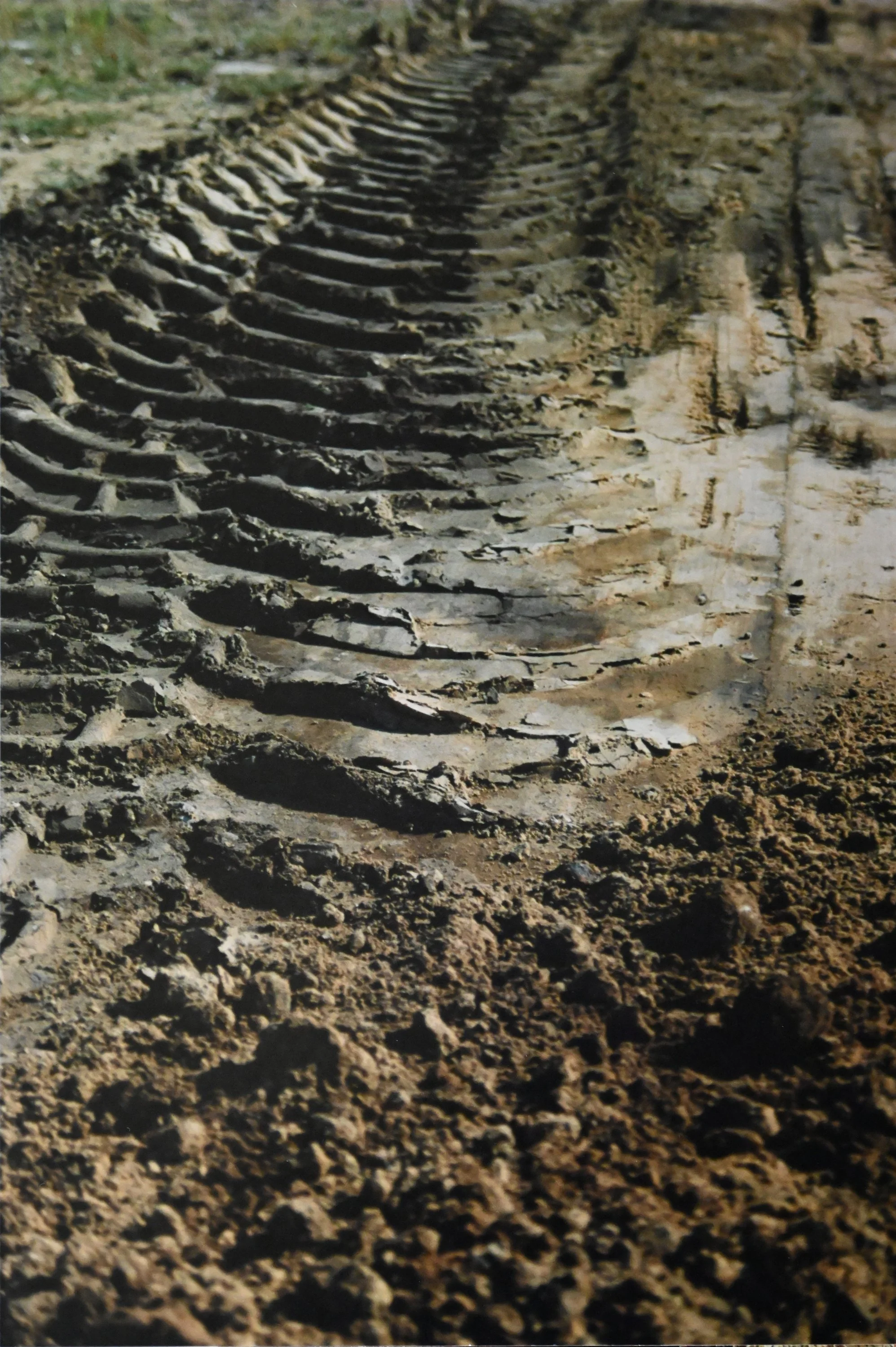 40,5 x 61,5 cm - (Nr.22)