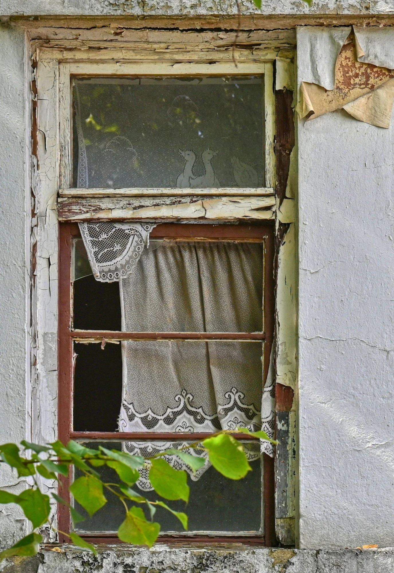 DSC_4821a.JPG
