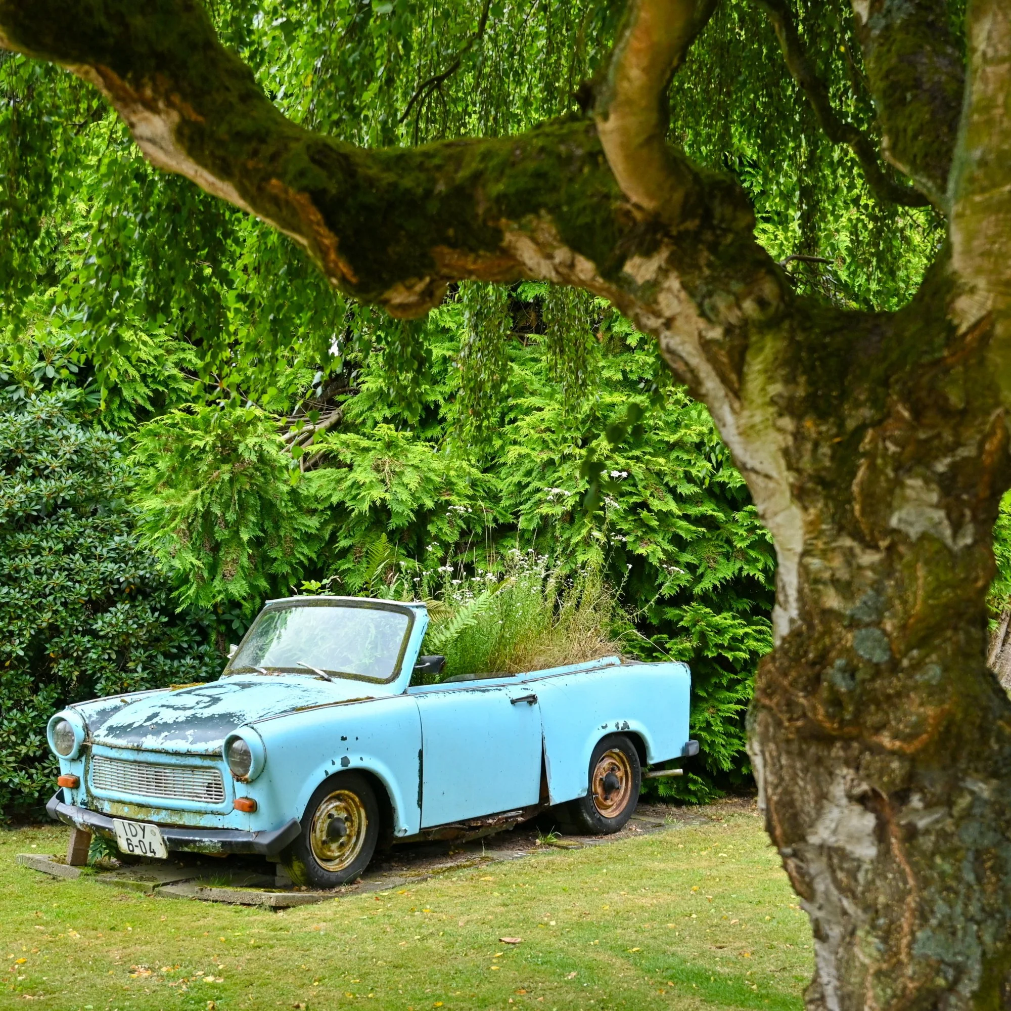 Trabant_6027.JPG
