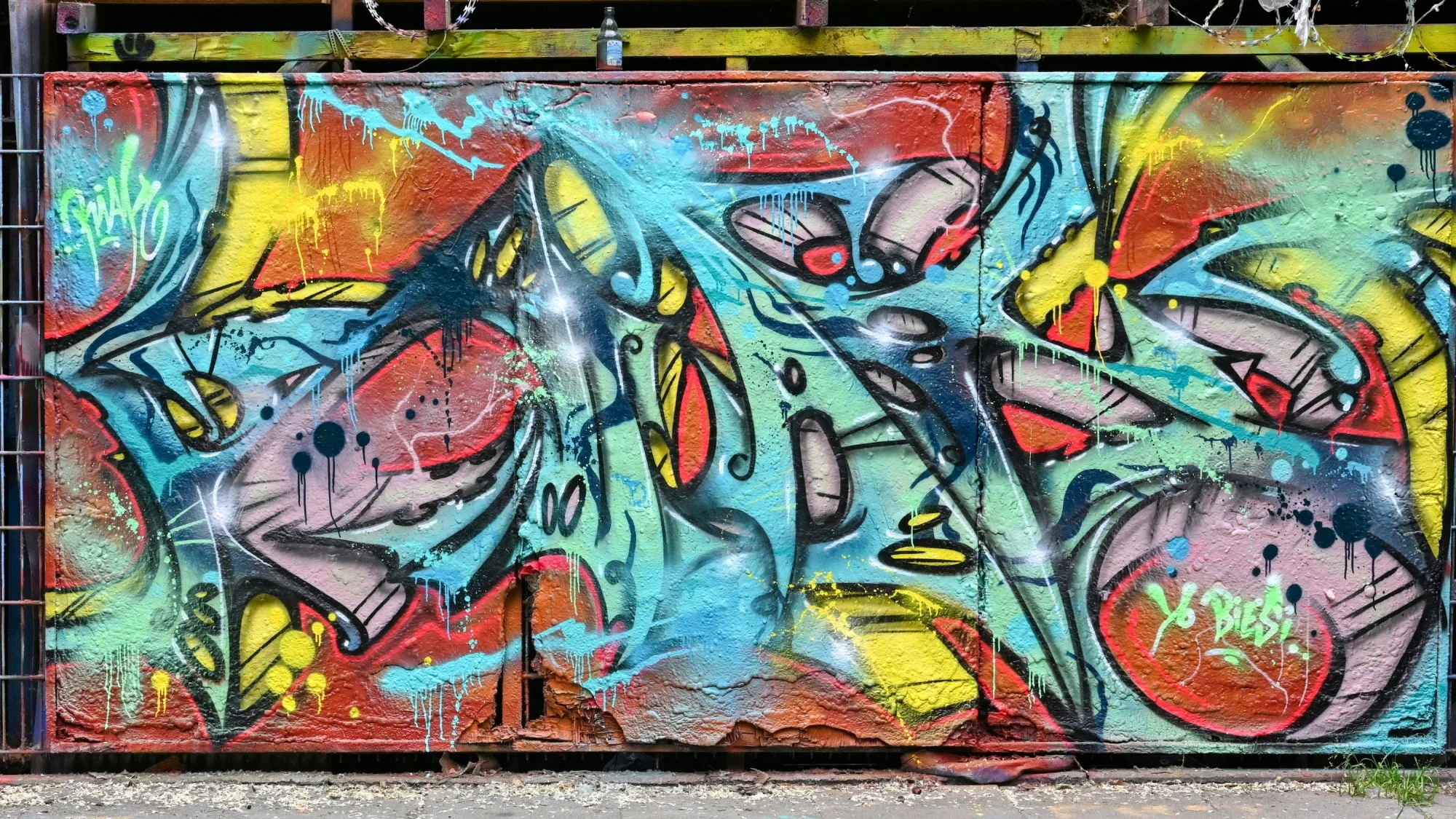 DSC_6656.JPG