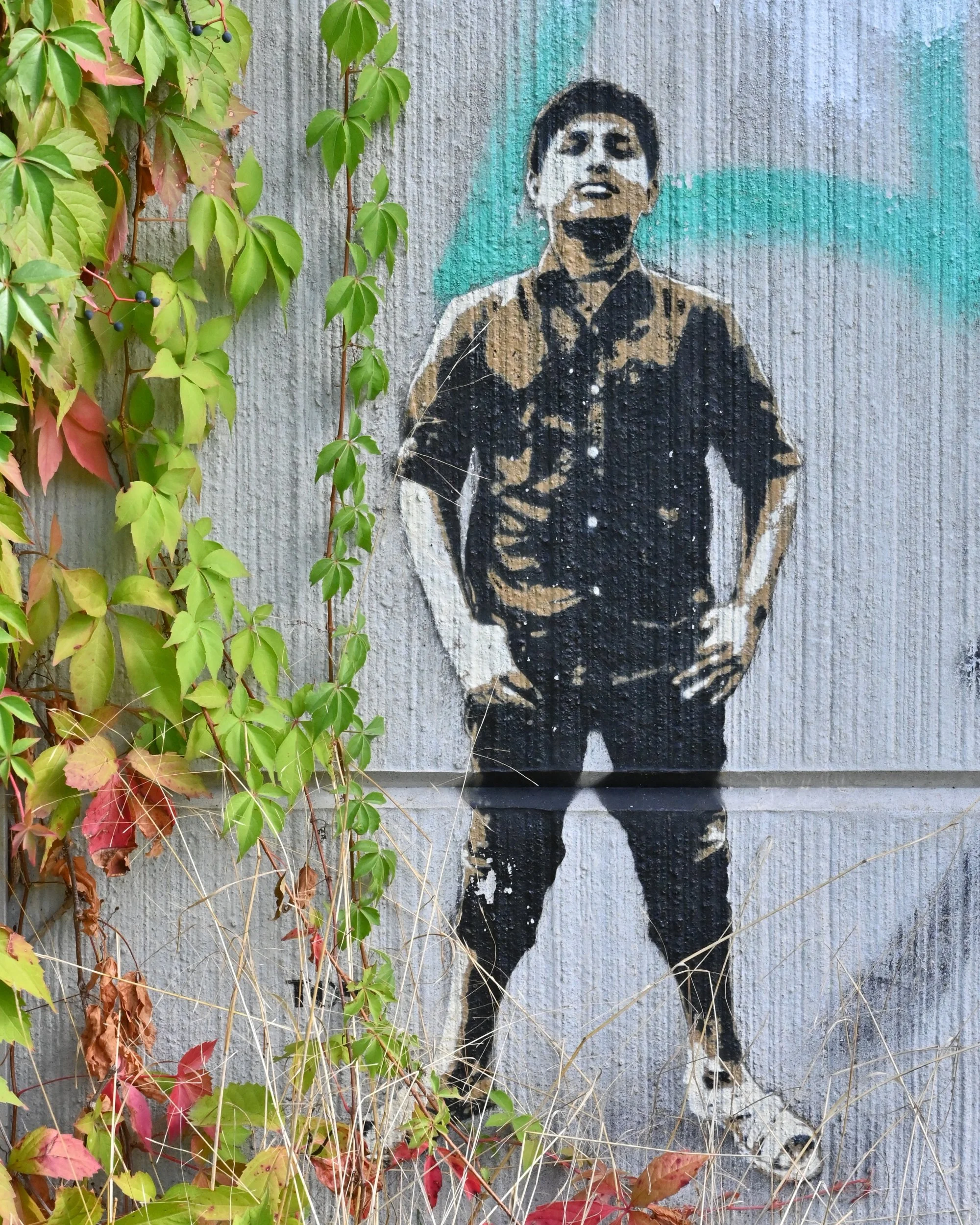 Tona_one