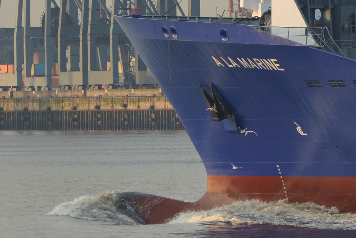 Schiffsbug_Hamburg_5270.jpg