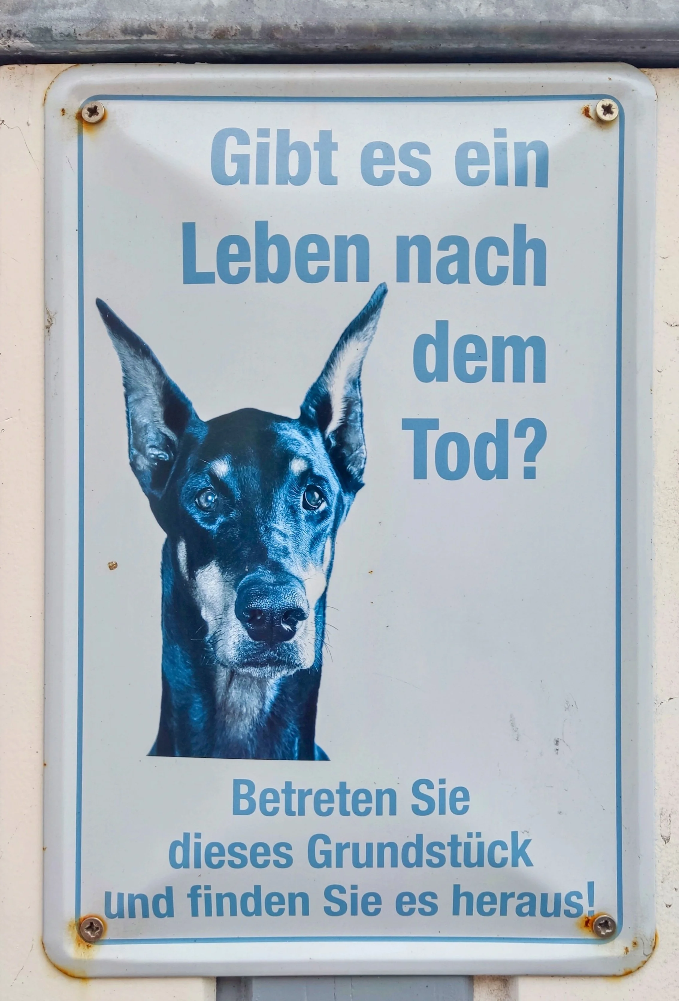 Wachhund_1298.jpg