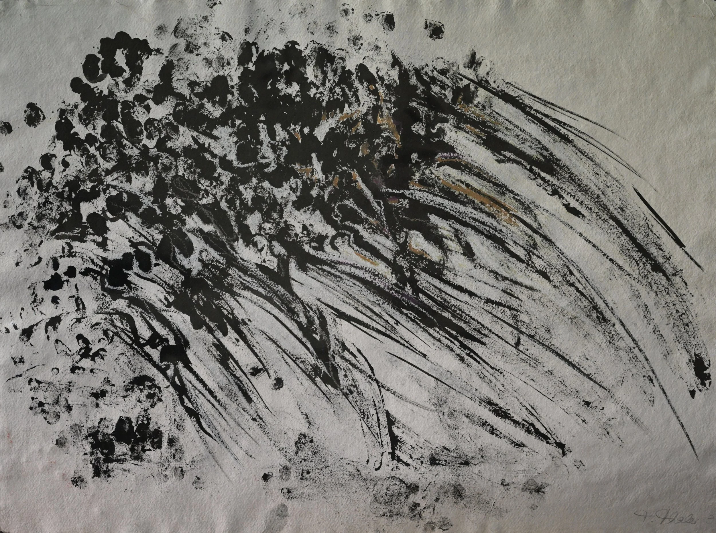 Friederike Thaler, Tinte auf Papier, 76 x 56 cm (Nr.2)