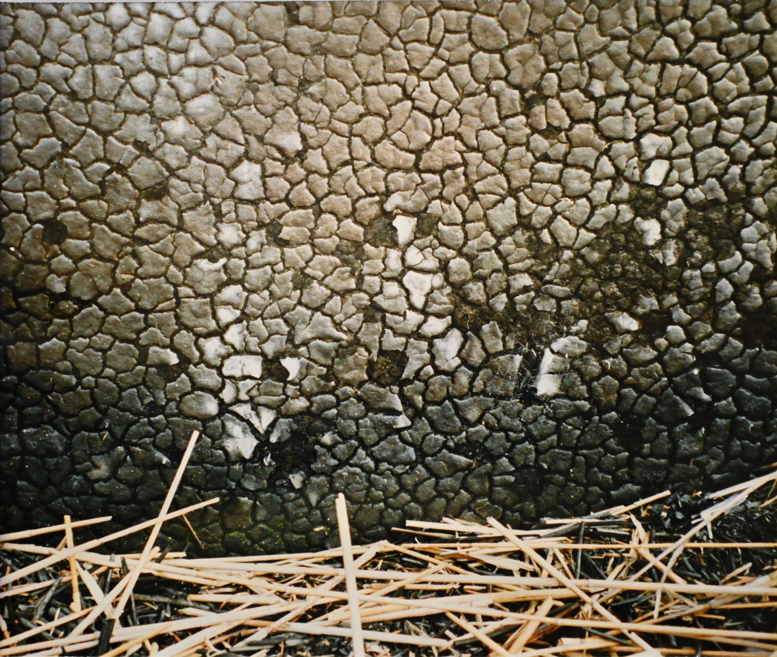 43,5 x 36,5 cm - (Nr.31)