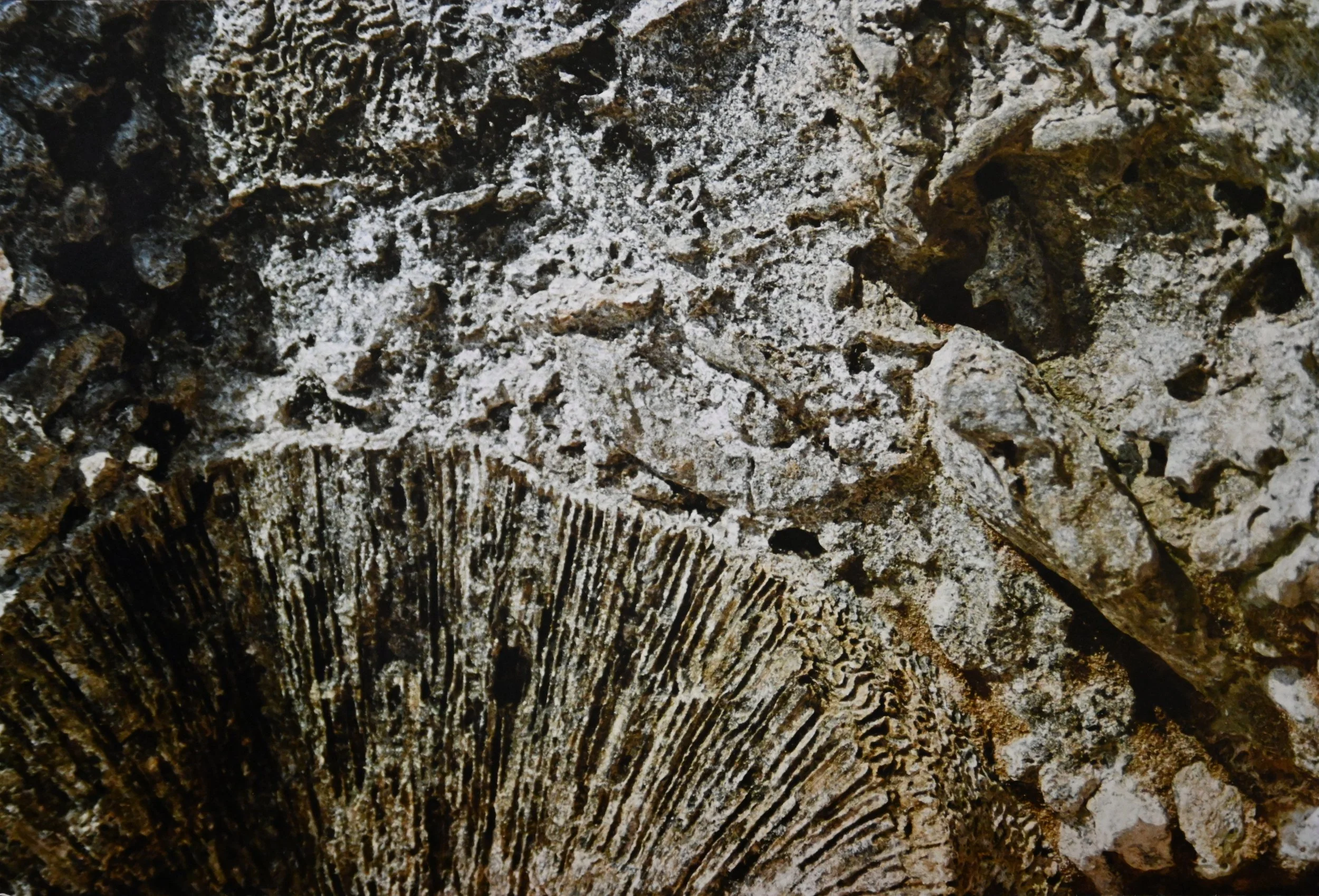 60 x 40,5 cm - (Nr.18)