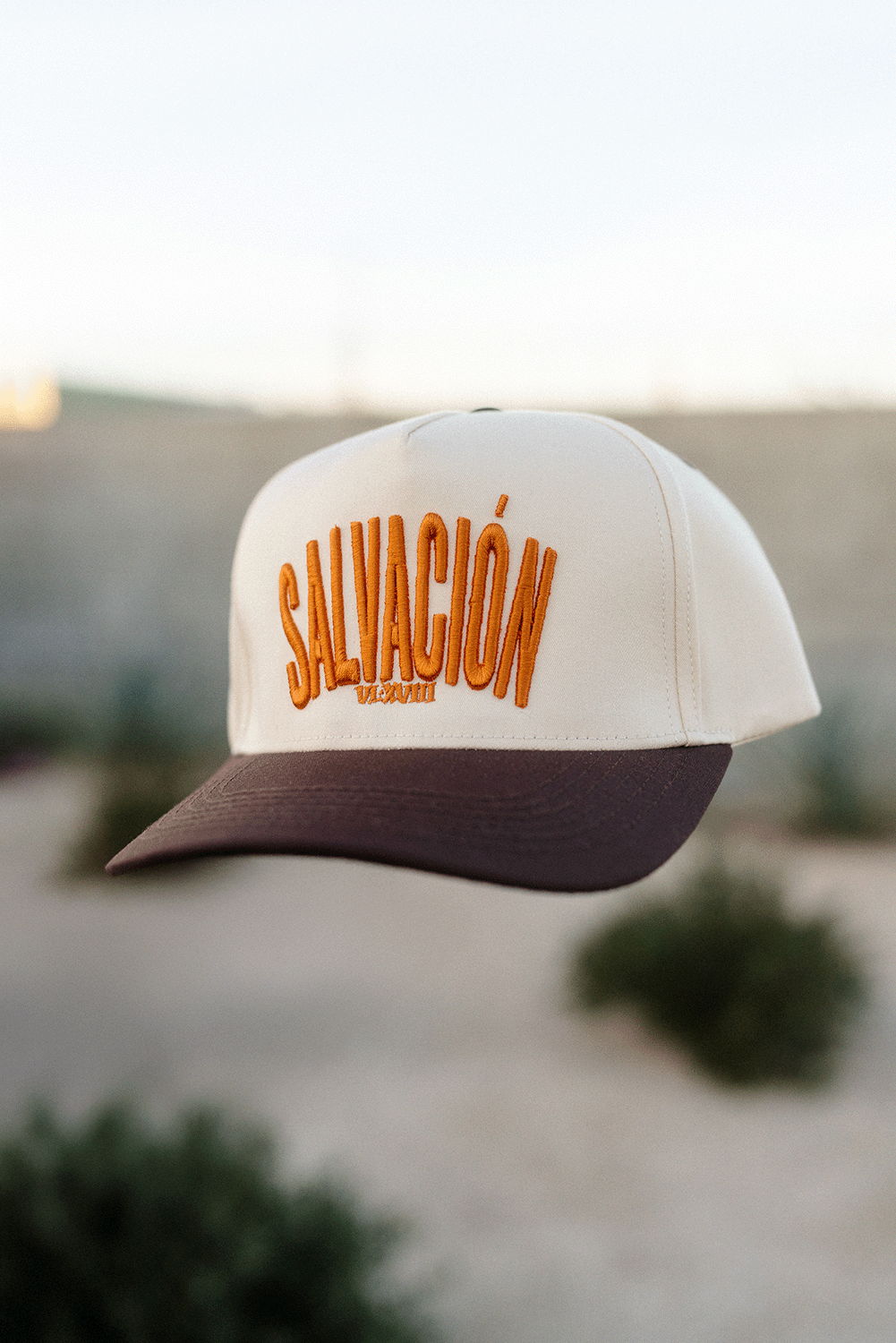 salvacion hat floating 2.png