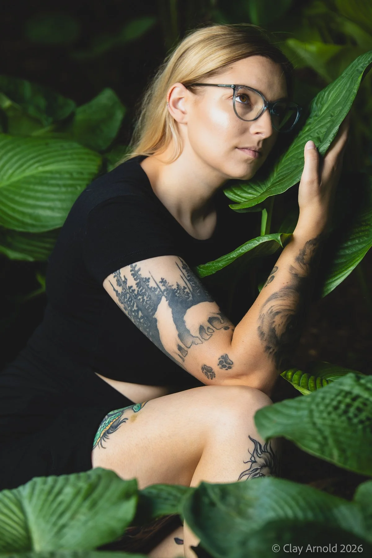 Big Leaf II