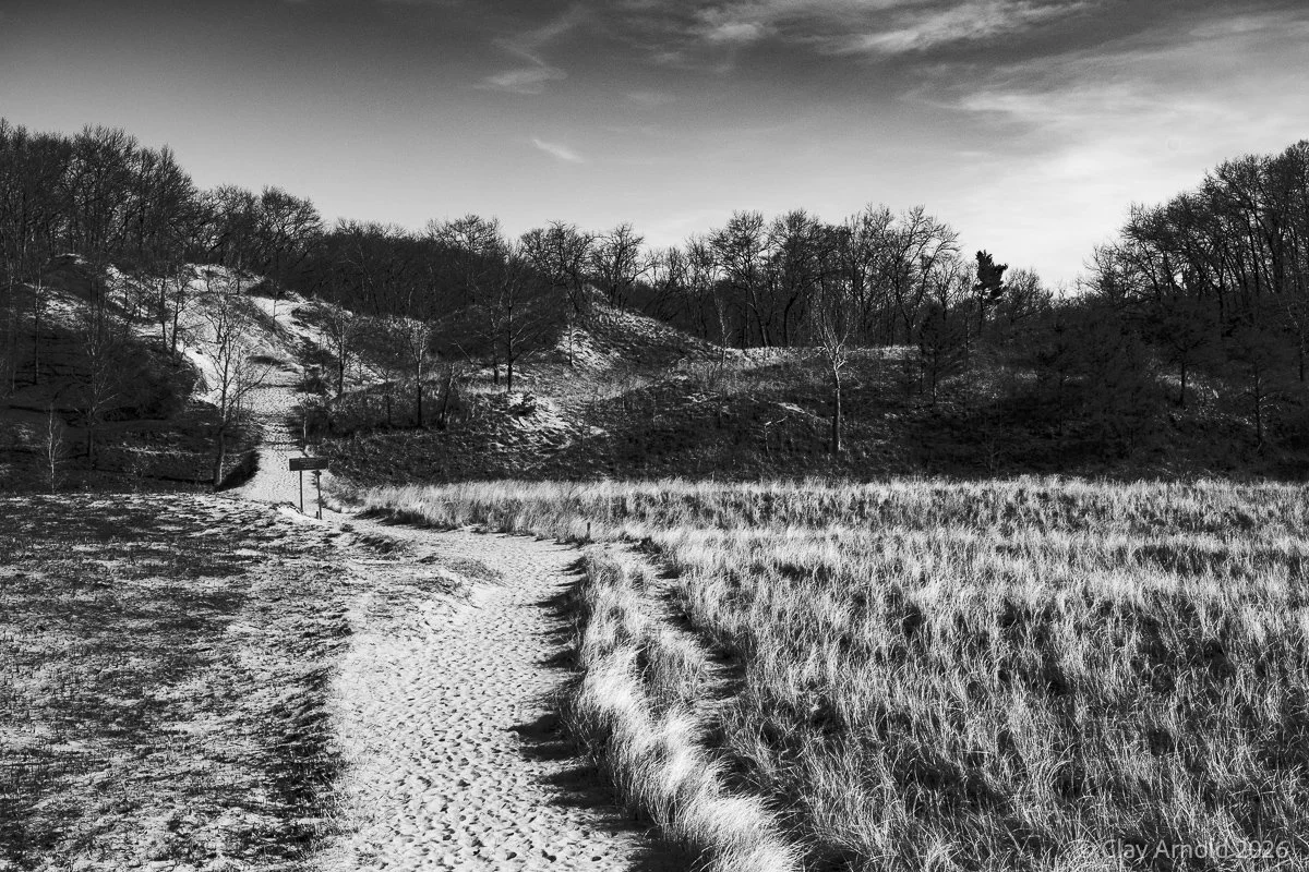 Sandscape II