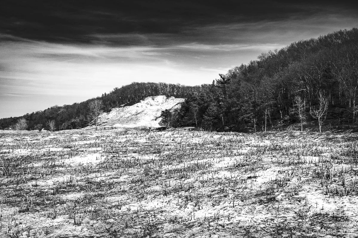 Sandscape