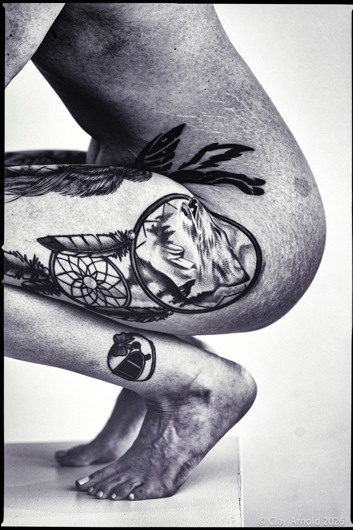 Dream Catcher