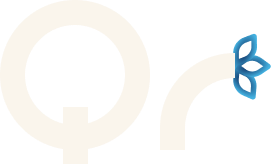 Quin Richards | Experience Designer + Project Coordinator