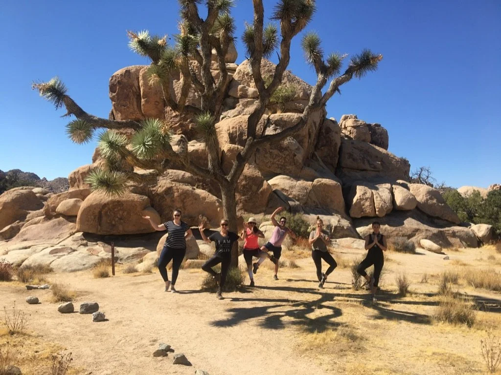 Joshua Tree, California