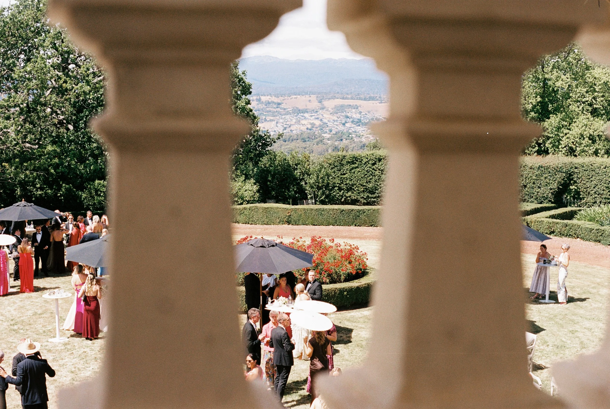 Film-59.jpg