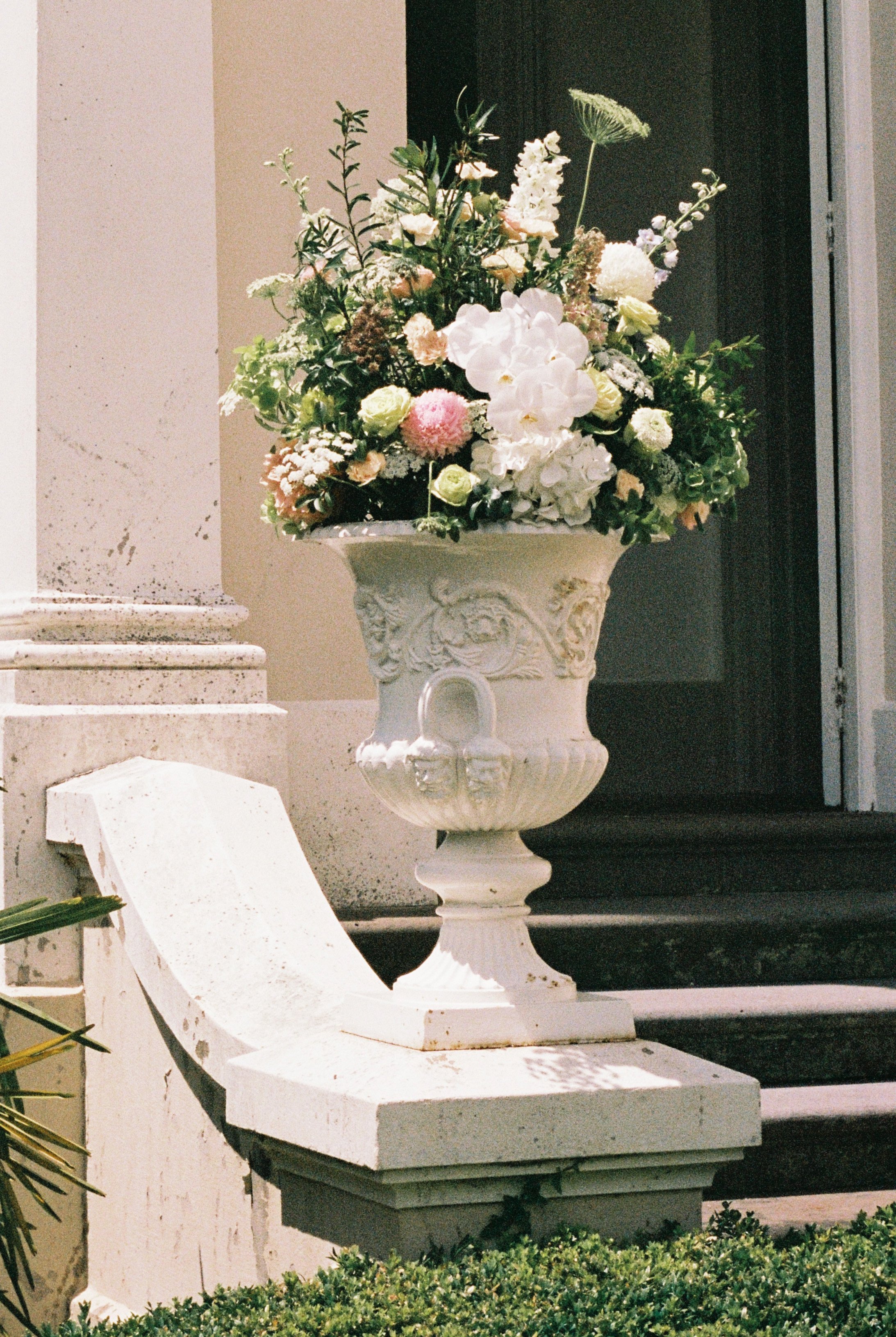Film-153.jpg