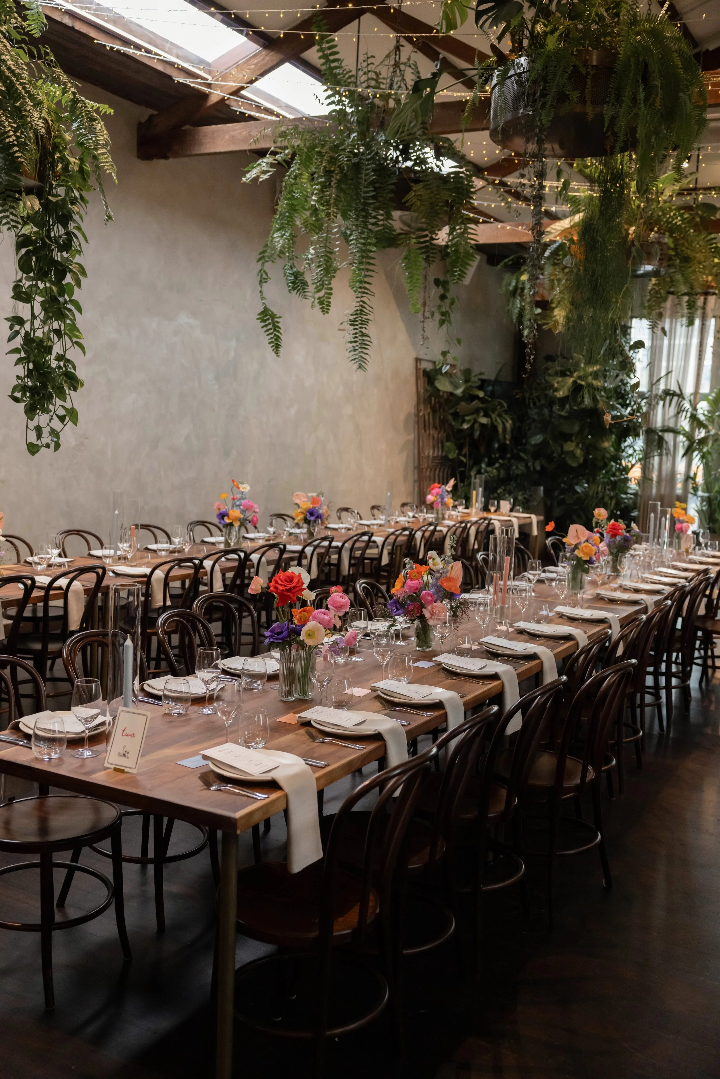 Hannah & Chris Express Colour-17.jpg