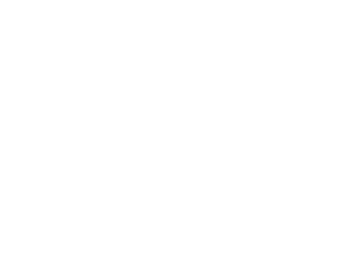 Healing Wheel Holistic