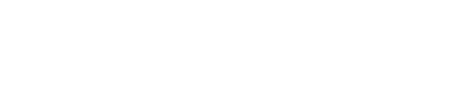 Healing Wheel Holistic