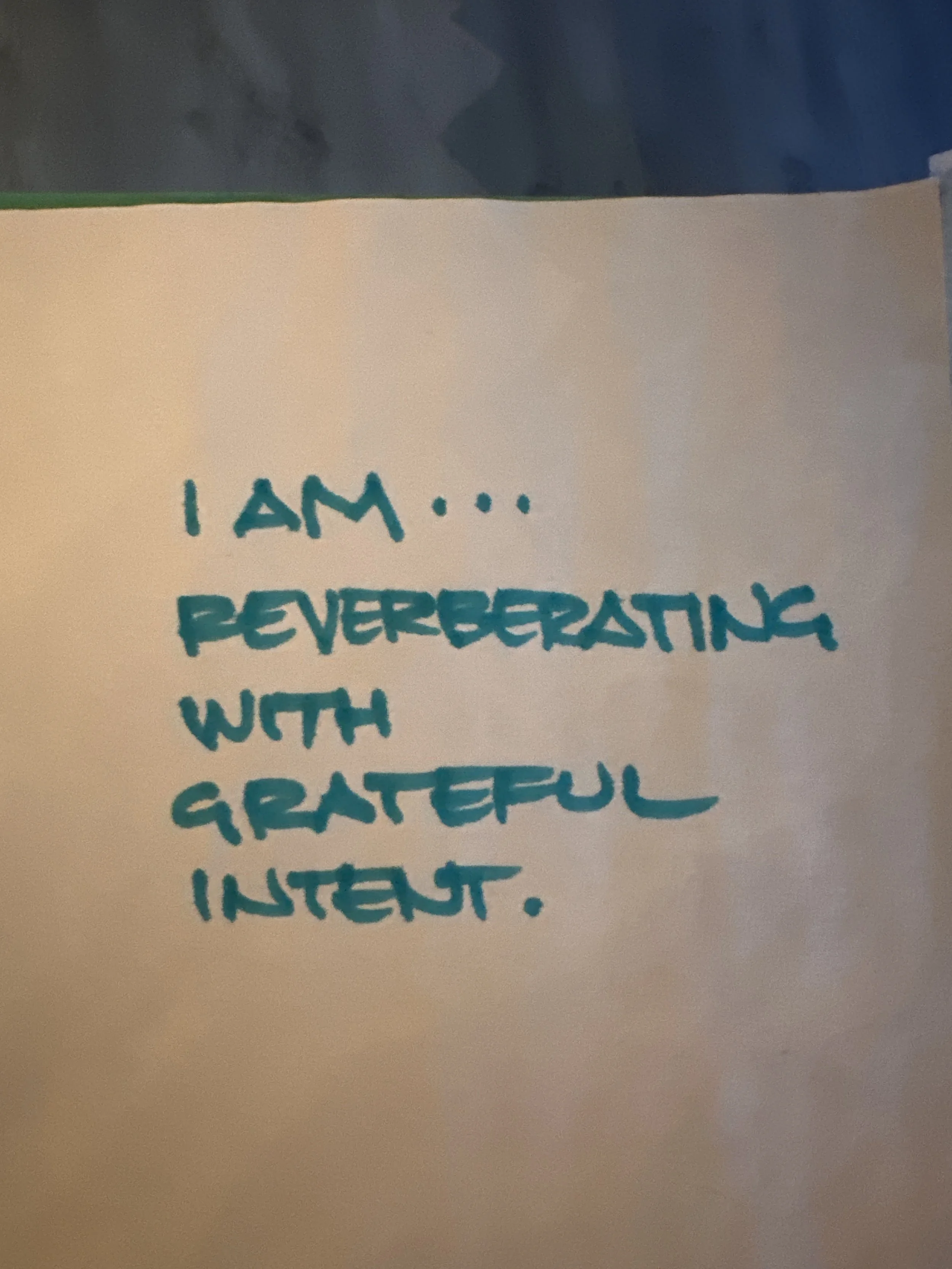 image_6209779 (7).JPG