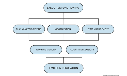 | Executive Functioning |