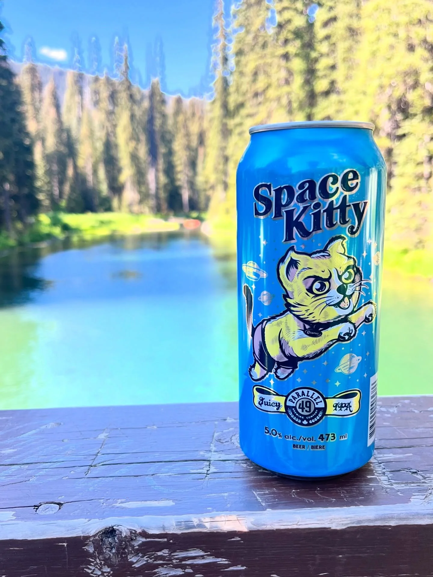 Some classics, some new just in time for Canada Day 🇨🇦 @parallel49beer comes out with an exciting lineup in an 8 pack format.  Our thoughts 👇  #craftbeer #beerreview #canada

🍺 Space Kitty Juicy IPA

Style: Hazy IPA
ABV: 6.5%
IBU: 35

Review:
Spa