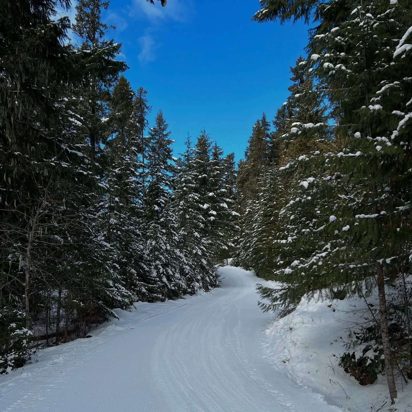 We did a lot of the things.  Whistler photo dump!  Tell me more about out 7 hours of bliss in the dark 🚘 🚔